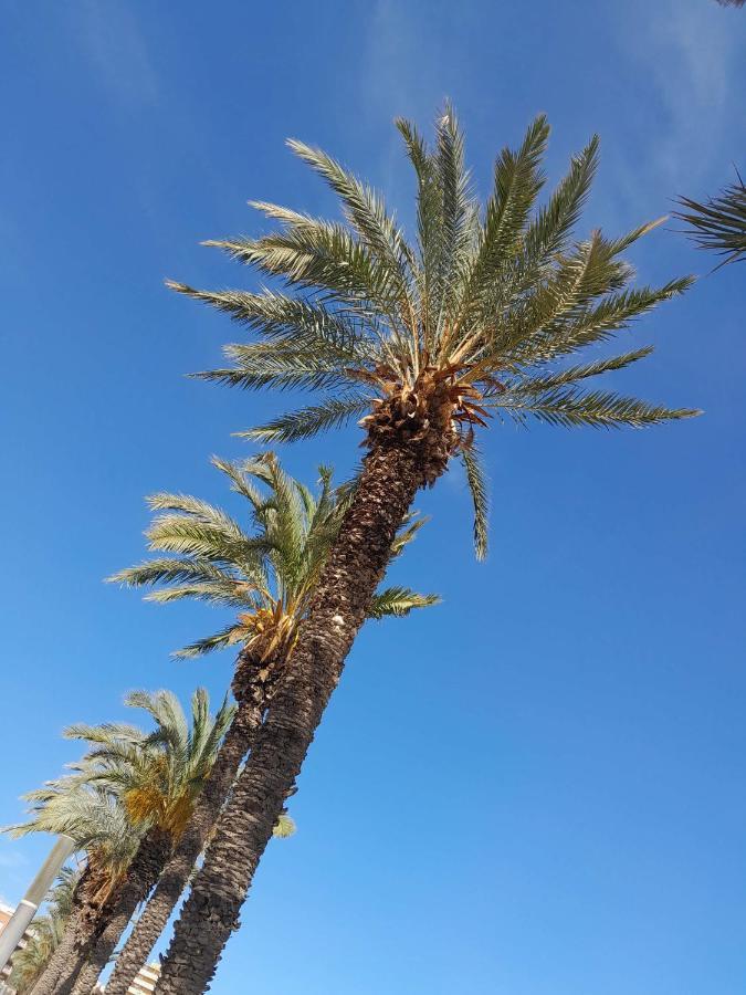 דירות טורבייחה Stylowy Apartament Harmonia Playa Del Cura, Hiszpania מראה חיצוני תמונה