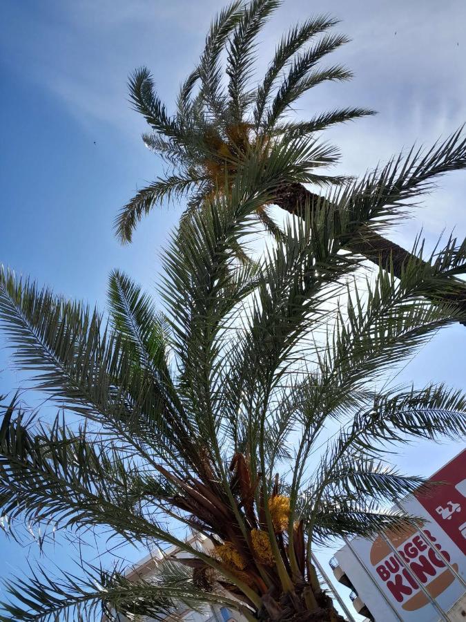 דירות טורבייחה Stylowy Apartament Harmonia Playa Del Cura, Hiszpania מראה חיצוני תמונה